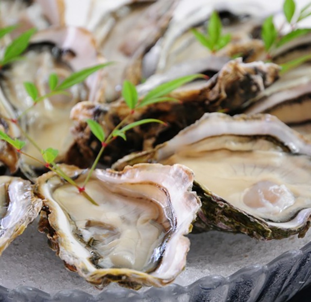 Mid-Season Delights! 5 Restaurants in Hiroshima Offering Delicious Oyster Cuisine