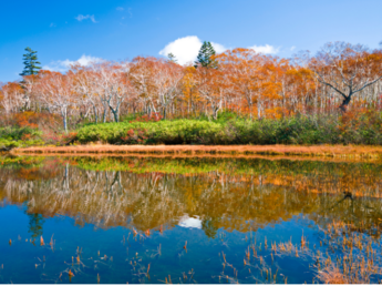 Popular Autumn Foliage Spots! Top 5 Recommended Restaurants to Visit in Otaru and Niseko | Hokkaido