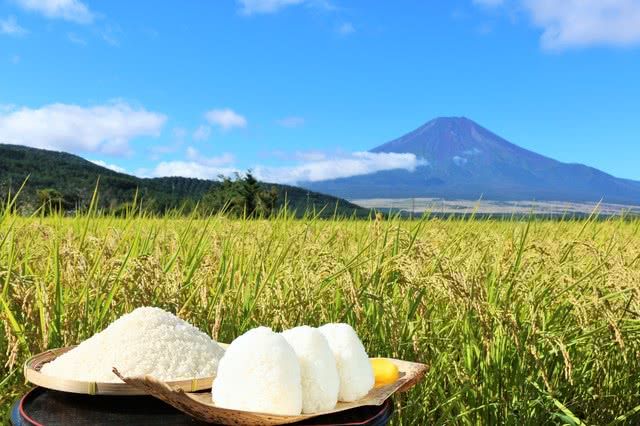Must-Eat Seasonal Foods in Japan in Autumn!