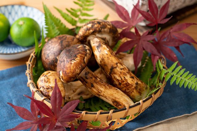 Savor the Flavors of Autumn in Japan! ‘Tis the Season for Eating!
