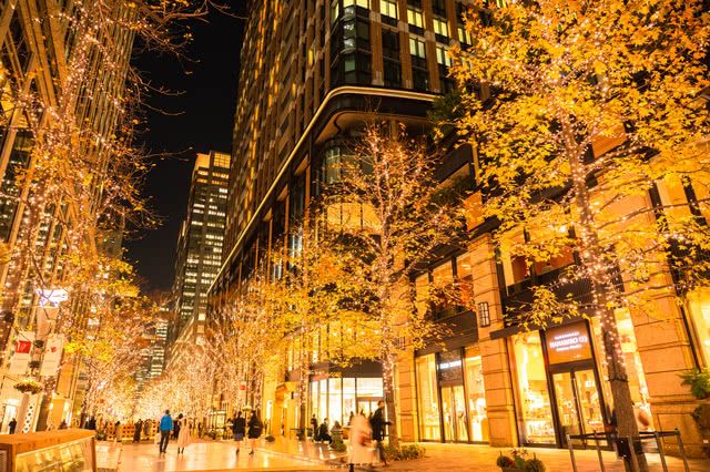 Japanese Winter Delights - Spectacular Illuminations and Exquisite Dining!