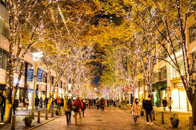 ■Tokyo's Top Illumination Destinations