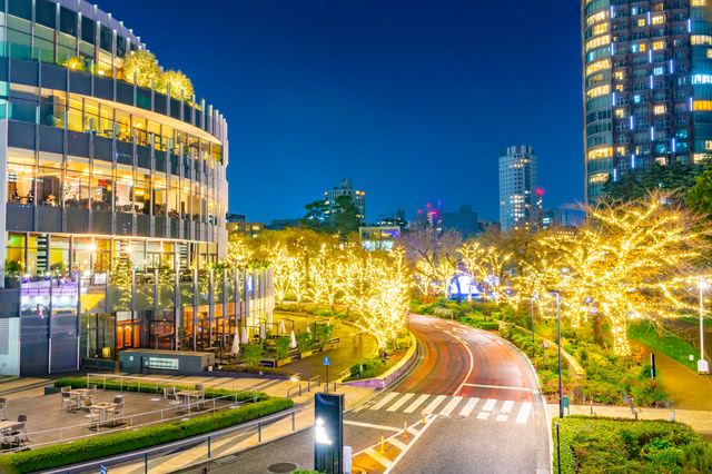 Japanese Winter Delights - Spectacular Illuminations and Exquisite Dining!