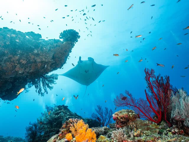 Ishigaki Island, Famed for its Emerald Green Sea