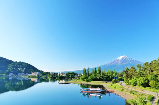 Packed With Picturesque Views! The Road Trip-Friendly Yamanashi Prefecture's Must-Visit Summer Flower Spots