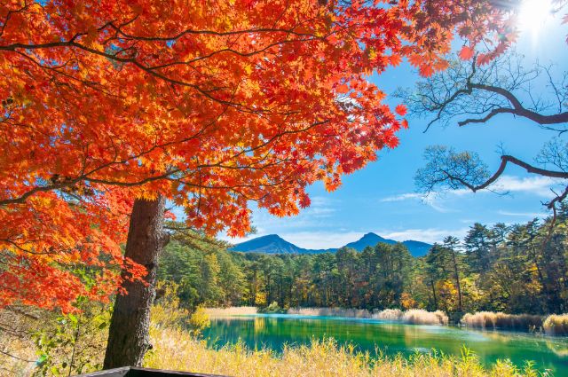 Why Visit Fukushima Prefecture in Autumn?