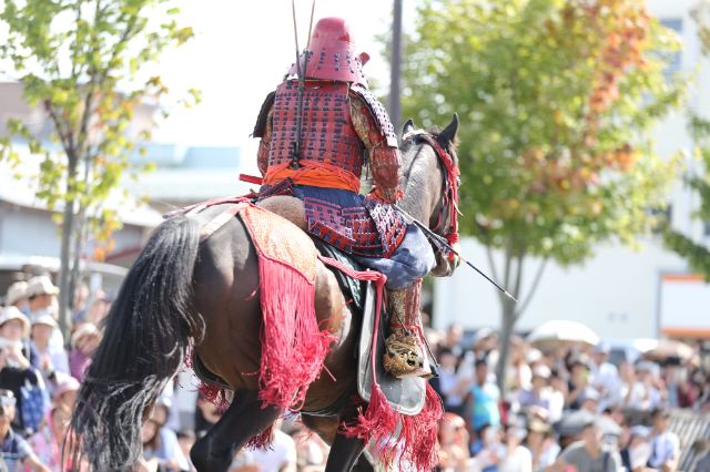 Experience Living History! Must-See Attractions for Visitors to Japan