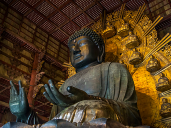Restaurants to Visit After Sightseeing at Todai-ji in Nara