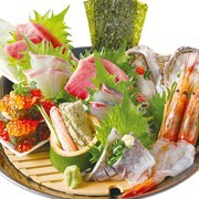 Chanko Sakaba Edosawa Ryogoku-Ekimae Branch_5 Variety Sashimi Assortment (for 1 person) - A gorgeous dish of seasonal fish from all over Japan