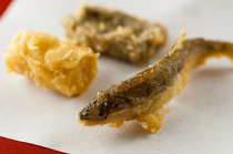 Tempura Kurokawa_Chiayu (young ayu), Makiyuba (rolled bean curd skin), Gomafu (pieces of wheat gluten with sesame) - Seasonal cuisine. 