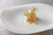 Ristorante QUINTOCANTO_Appetizer in a 5-dish-course - "Fennel orange shrimp"