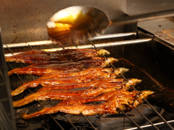 Unagi Jinta
