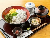 Wasai Yakura_Yakura's Specialty Kama-age Shirasu-don - Shonan Shirasu caught in the morning is delicious!