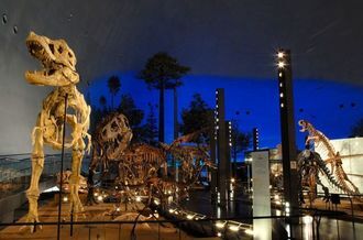 Fukui Prefectural Dinosaur Museum
