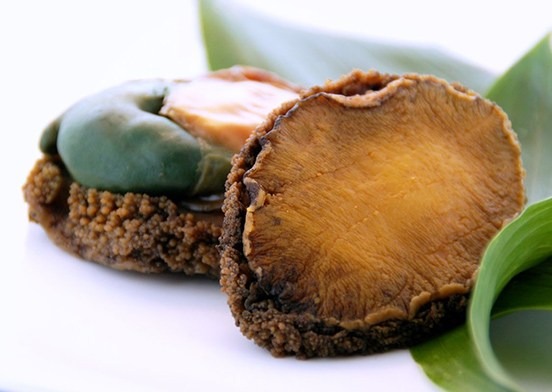 Abalone