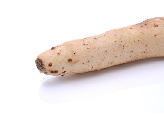 Chinese Yam